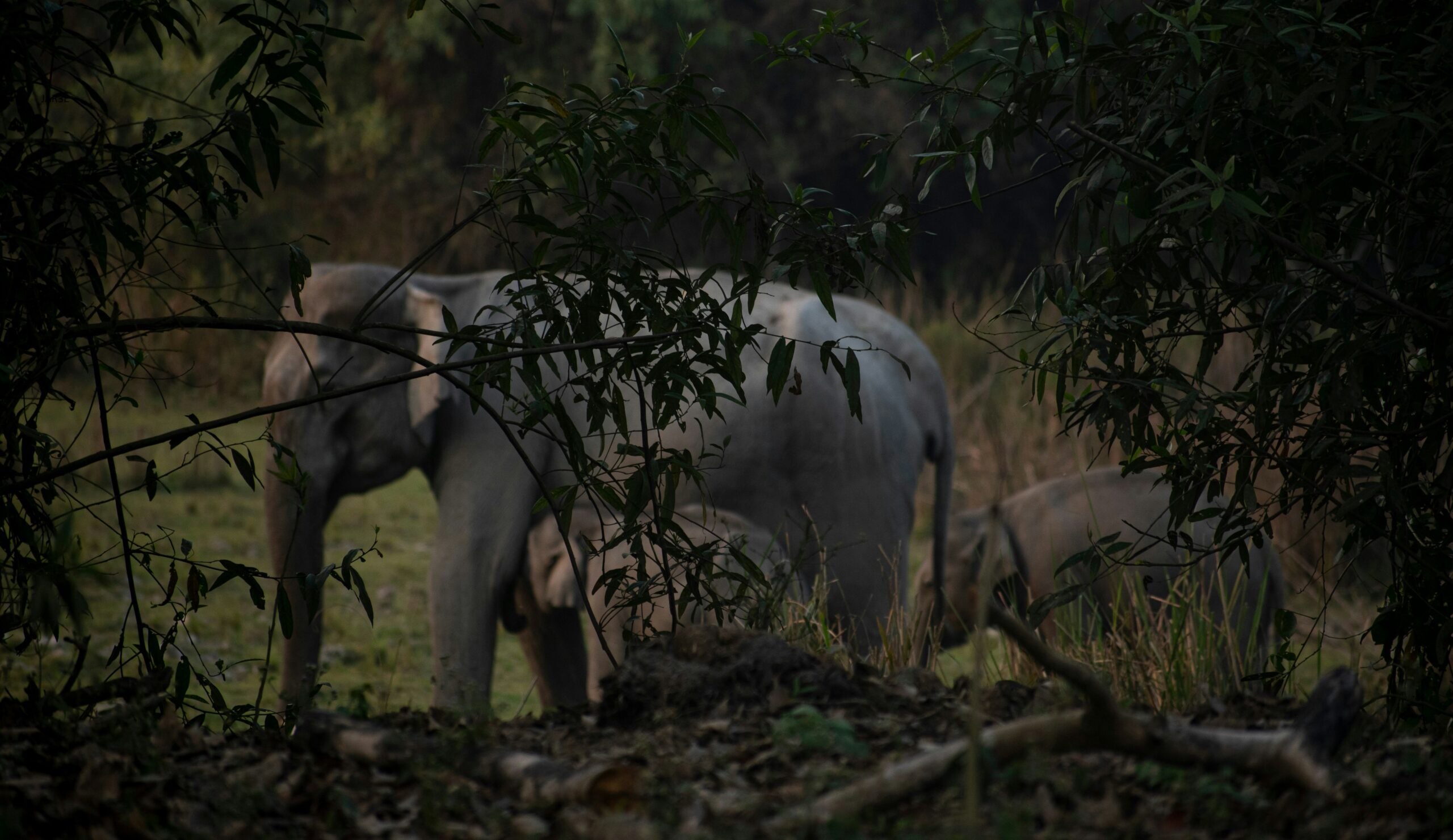 saurav-mali-wPGBBT0RKQs-unsplash